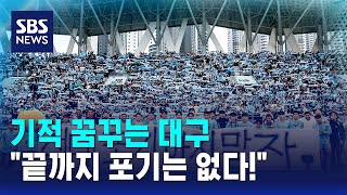 기적 꿈꾸는 대구…\ 끝까지 포기는 없다!\ / SBS