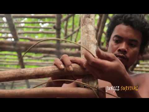Construindo a mais bela casa na árvore