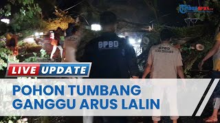 Hujan Deras hingga Akibatkan Pohon Tumbang Membuat Jalan Nasional Kutacane - Gayo Lues Terganggu