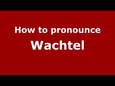 How to pronounce Wachtel