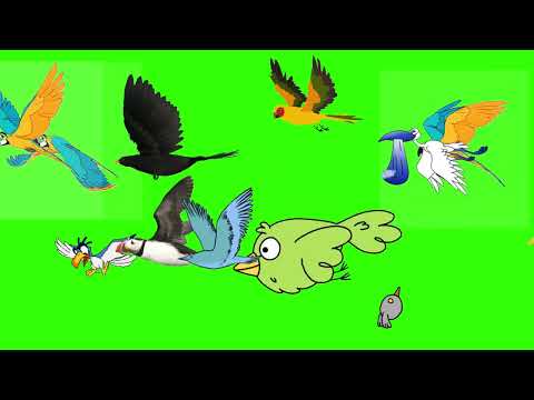 Flying with Friendship – Did You Spot the Miracle at Second 20? | Birds stampede green screen
