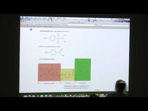 #35 BB 350 Nitrogen Metabolism - Kevin Ahern's Biochemistry Online