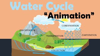 WATER CYCLE | Biology Animation