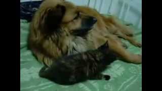 don't push me too far!