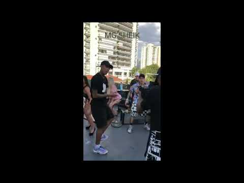 PREVIA DE MUSICA NOVA MC THEUZYN E MC PEDRINHO