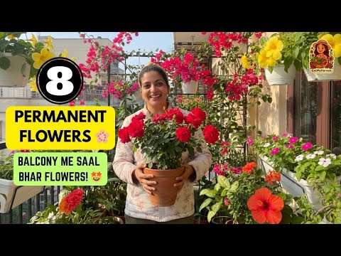 Paisa Vasool Gardening! 💰 Ye 8 Permanent Flowering Plants Saal Bhar Khilenge Balcony Mein