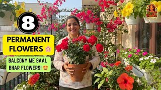 Download lagu Paisa Vasool Gardening! 💰 Ye 8 Permanent Flowering Plants Saal Bhar Khilenge Balcony Mein mp3