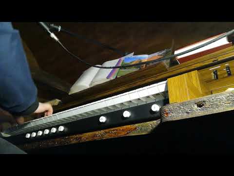 Nocą ogród Oliwny (napisy)