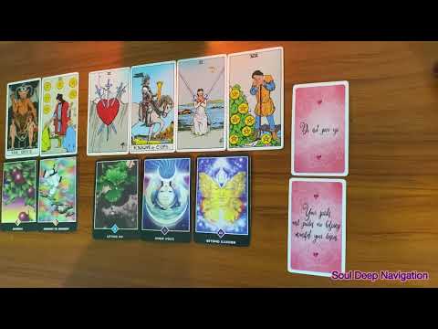 (Collective Reading) 🌺 အခုချိန်မှာ သင် ဘာတွေသိဖို့ လိုအပ်နေလဲ 🌺