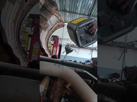 São João dos patos Maranhão