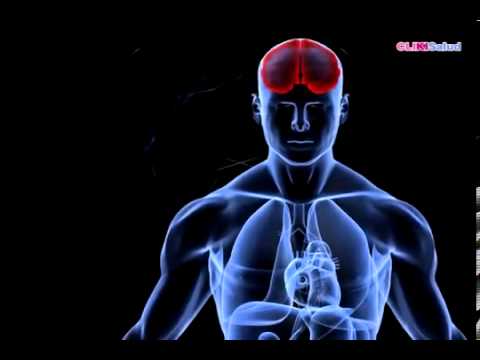 CLIKISalud   Las drogras   Barbitúricos