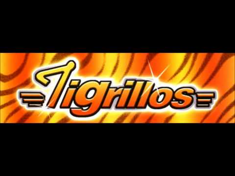 El Meneito - Los Tigrillos