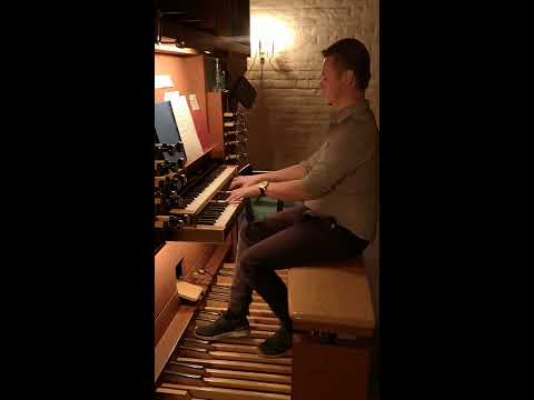 Sigurd Barrett - Pilfingerdansen (orgel-cover)