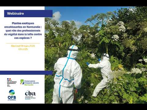 [Webinaire] Plantes Exotiques Envahissantes : quel rôle des professionnels du végétal dans la lutte contre ces espèces ?