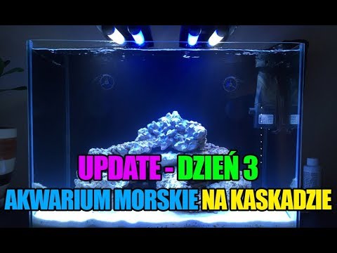 (20) MyReef 50 - 3 dzień - Start na suchej skale - Akwarium morskie bez sumpa na kaskadzie