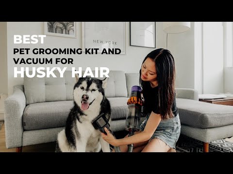 Dyson Pet Grooming kit for Your V16 Piston Animal Cordless Vacuum video review thumbnail