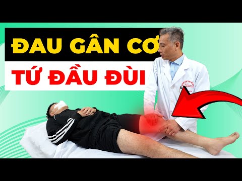 Đau Gân Cơ Tứ Đầu Đùi Khiến Bạn Không Thể Chạy Bộ? Bác Sĩ Tiết Lộ Cách Chữa