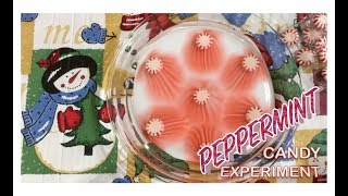 Peppermint Candy Water Experiment (Peppermint Water Science)