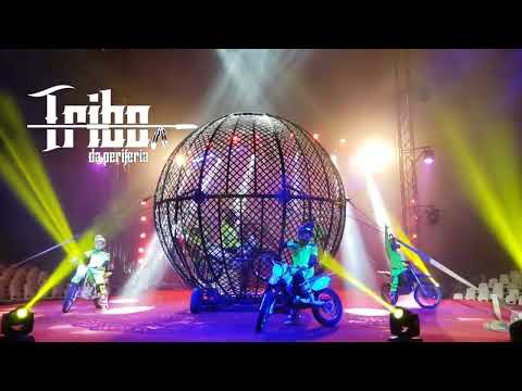 acervo verbal parte Duck Jay e look - os pilotos do globo da morte