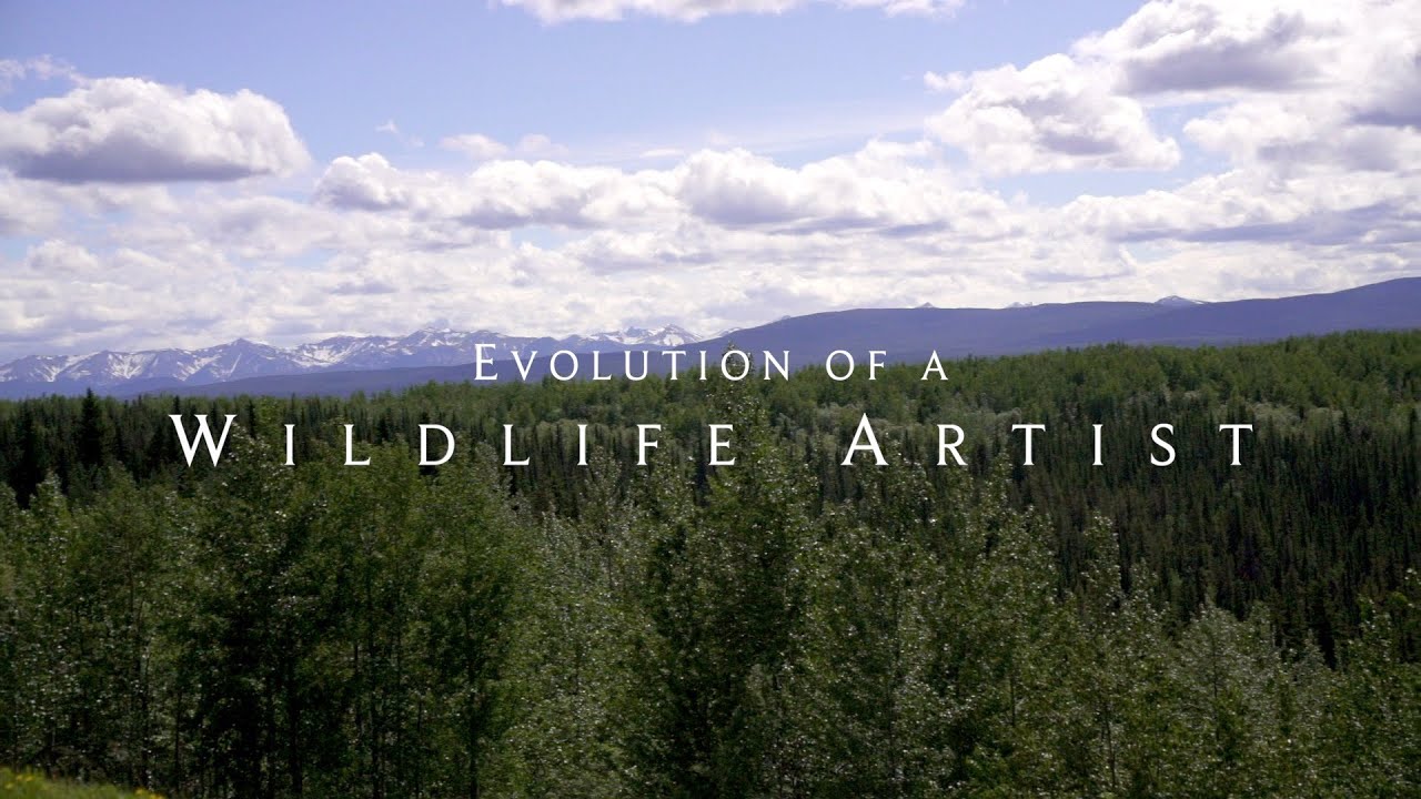 How and Why I Paint Wildlife - Interview