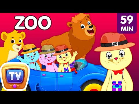 Three Little Kittens Went To The Zoo – Wild Animals Sounds Nursery Rhymes by Cutians™ | ChuChu TV