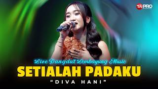 Download lagu Diva Hani - Be Faithful to Me | I Want You Here | Latest Live Dangdut Koplo mp3 Download lagu Diva Hani - Be Faithful to Me | I Want You Here | Latest Live Dangdut Koplo mp3