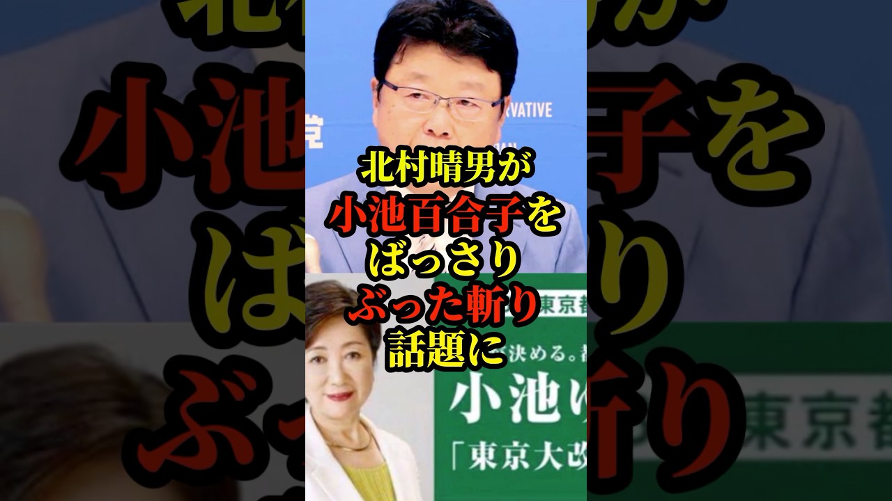 北村晴男が小池百合子をばっさりぶった斬り話題に#政治 #国会 #日本保守党 #自民党