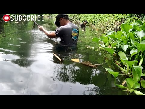 EP192 P1 "KARPA KARPA TAWIS PALA" PAMAMANA SA ILALIM NG TULAY | CATCH AND COOK