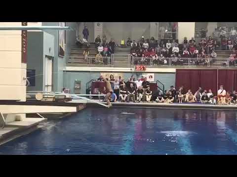 2018 Men 1m Springboard Big Ten Final (Full Event)