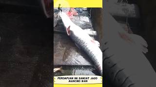 Download lagu Wanita ini Mancing Ikan Monster Di Sungai #shorts #short #shortvideo #youtubeshorts #trending #video mp3