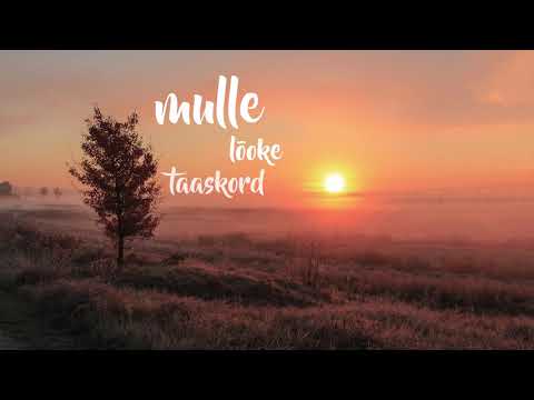 Sügishallad - Laura Junson