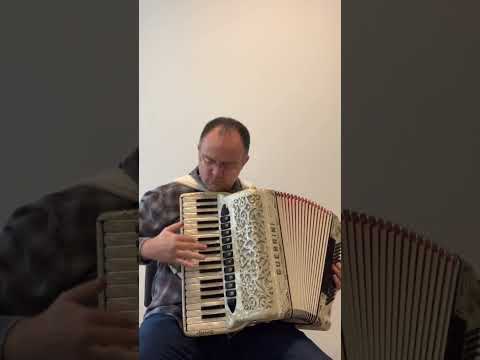 Everethno - Zaječarski vez