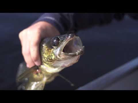 The Outpost Camps at Wilderness North