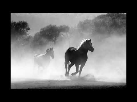 Asmr медитация, звук лошадей, коней.