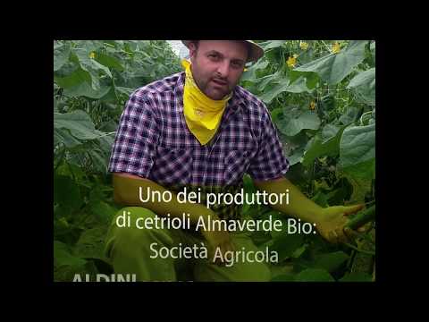 Gioielli martello di Thor Chirurgia plastica penis