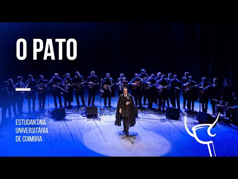 Estudantina Universitária de Coimbra - O Pato