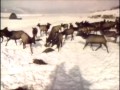 Sesame Street Elk Feeding