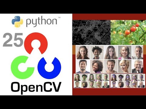 Contours Object Detection With Opencv Using Python