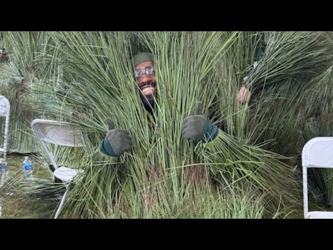 Nearly 400 Dressed As Sugar Cane And Grass At Super Bowl Halftime Show