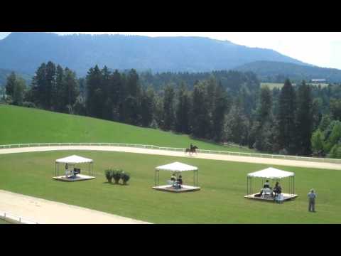 ÖM 2011 Semriach - 14.07. Video a - www.isibless.de