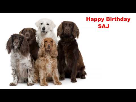 Saj  Dogs Perros - Happy Birthday