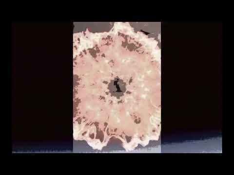 lk Dệt Tầm Gai & Con Cò Hồng Anh