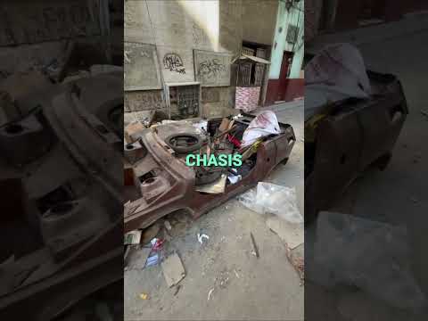 Perro Busca Tesoro en Basura Caótica de La Habana #shorts