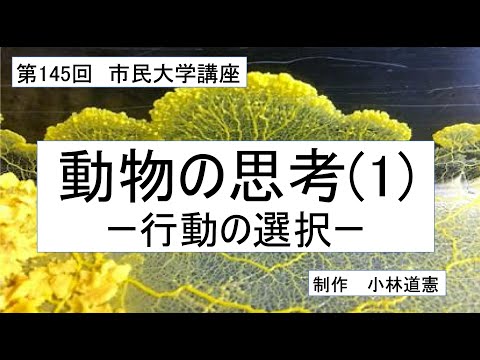 地域科学課程 動物の思考（１） 行動の選択