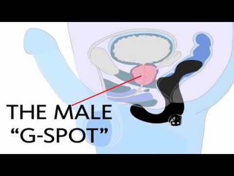 OOM Ultraschall Prostata Vorrichtung Denas Behandlung von Prostatitis
