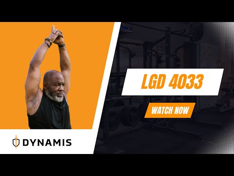 LGD 4033 | Dynamis Online