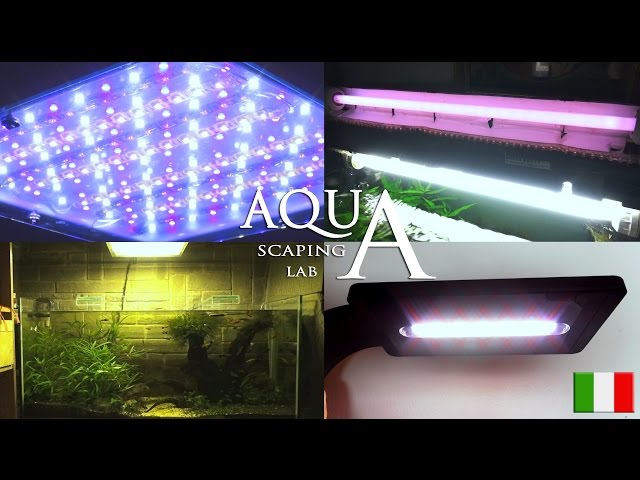 Aquascaping Lab - Illuminazione Acquari acqua dolce; NEON fluorescenti lineari e plafoniere LED