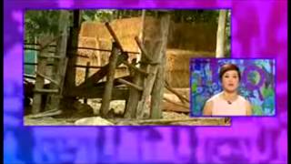 ฉันจะเป็นชาวนาอีฟ