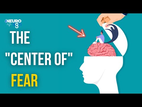 The "Center Of Fear" In Our Brain Explained - Animated Neuroscience