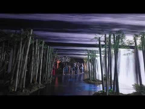 Inside The Forest Within at Genesis House in NYC